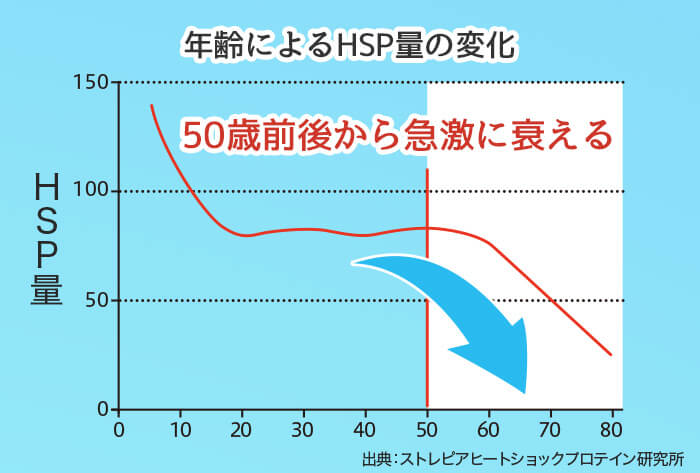 年齢によるHSP量の変化